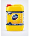 Domestos Professional Citrus Fresh 5L – Soluția dezinfectantă pentru curățenie impecabilă