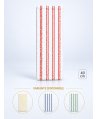 Mop profesional plat din microfibră 40 cm cu dungi roșii, urechi și buzunare, pentru toalete