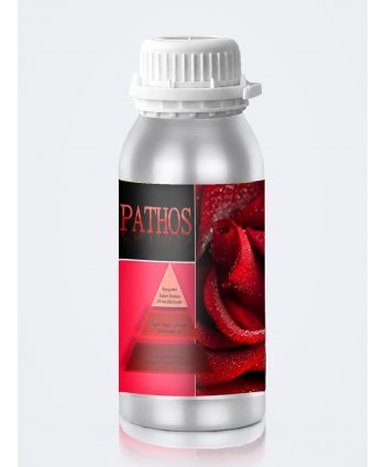 Parfum de Cameră Pathos 500 ml pentru Difuzor