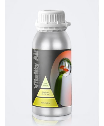 Parfum de Cameră Vitality Air 500 ml pentru Difuzor