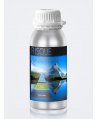 Parfum de Cameră Risque Aromatherapy 500 ml pentru Difuzor