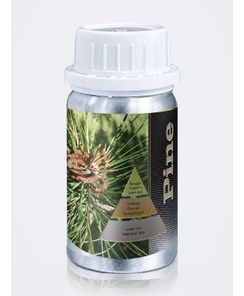 Parfum de Cameră Pine 50 ml pentru Difuzor