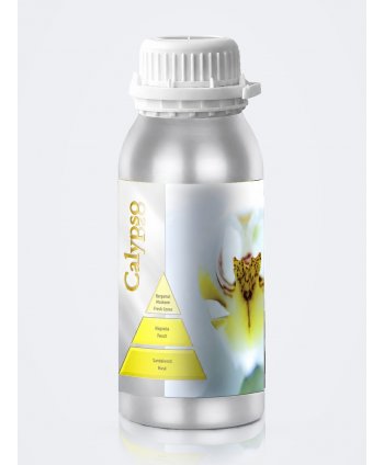 Parfum de Cameră Calypso 500 ml pentru Difuzor