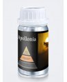 Parfum de Cameră Apollonia 50 ml pentru Difuzor