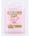 Săpun lichid profesional LUX Blooming Flowers, parfum floral, 5 L