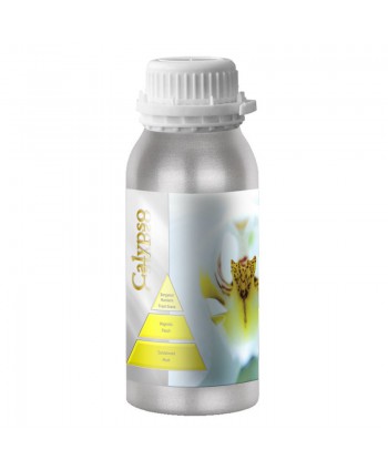  Uleiuri esentiale pentru difuzor - Ulei esential odorizare camera 500 ml ScentPlus - Calypso - arli.ro