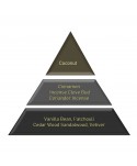 Uleiuri esentiale pentru difuzor - Ulei esential odorizare camera 50 ml ScentPlus - Black Orchid - arli.ro