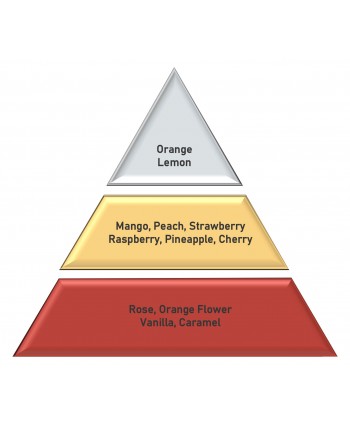  Uleiuri esentiale pentru difuzor - Ghana Mango 🥭  Ulei esential odorizant pt difuzor, calitate premium, persistenta minima 6 ore, gama Exotic Fruits, 500 ml - arli.ro