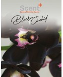  Odorizante spray de camera - Spray odorizant de camera profesional Black Orchid, gama Luxury, colectia The Scentimental Experience, ScentPlus, 250 ml - arli.ro