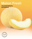  Odorizante spray de camera - Spray odorizant de camera profesional aroma Melon Fresh (pepene galben proaspat), gama Exotic Fruits, ScentPlus, 250 ml - arli.ro