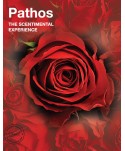Odorizante spray de camera - Spray de camera 250ml ScentPlus - Pathos - arli.ro