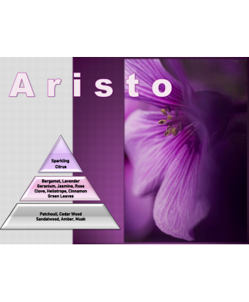 Aristo – Ulei Esențial Odorizant de Cameră Premium, 500 ml | Aromă Elegantă, Nobilă și Sofisticată
