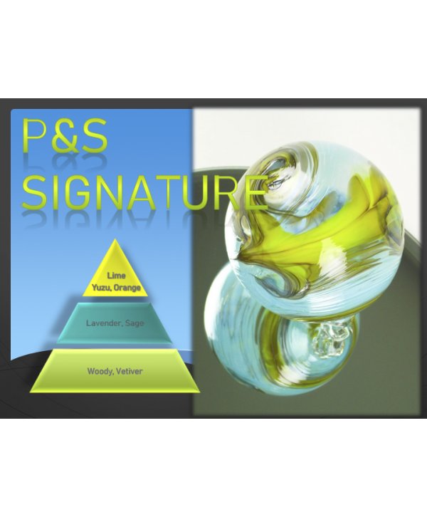 P&S Signature – Ulei Esențial Odorizant de Cameră Premium, 500 ml | Aromă Fresh, Echilibrată și Elegantă