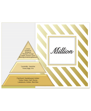 Million – Ulei Esențial Odorizant de Cameră Premium, 500 ml | Aromă Luxury, Citrică și Lemnoasă