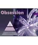 Uleiuri esentiale pentru difuzor - Obsession 🔮 Ulei esential odorizant pt difuzor, calitate premium, persistenta minima 6 ore, gama Luxury, 500 ml - arli.ro