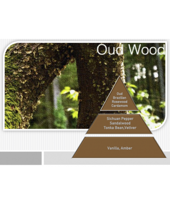 Oud – Ulei Esențial Odorizant de Cameră Premium, 50 ml | Aromă Lemnoasă, Profundă și Luxury