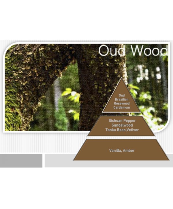 Oud – Ulei Esențial Odorizant de Cameră Premium, 50 ml | Aromă Lemnoasă, Profundă și Luxury