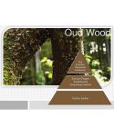 Uleiuri esentiale pentru difuzor - Oud 🪵 Scentimental Experience - Ulei esential odorizant pt difuzor, calitate premium, persistenta minima 6 ore, 500 ml - arli.ro