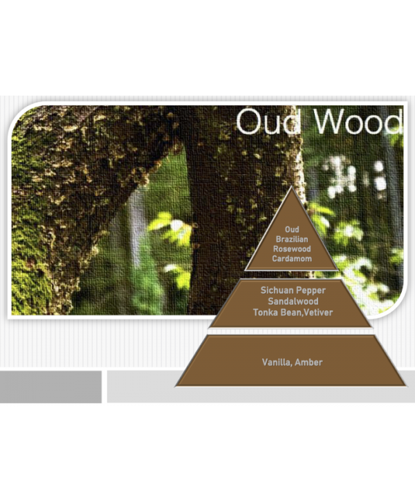 Oud – Ulei Esențial Odorizant de Cameră Premium, 500 ml | Aromă Lemnoasă, Profundă și Luxury Oud – Ulei Esențial Odorizant de Cameră Premium, 500 ml | Aromă Lemnoasă, Profundă și Luxury