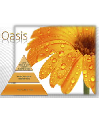 Pachet Difuzor Profesional de Uleiuri Esentiale ArliScent  + Oasis 500ml + Femme 500ml