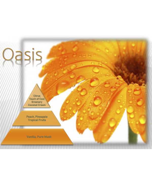 Pachet Difuzor Profesional de Uleiuri Esentiale ArliScent  + Oasis 500ml + Femme 500ml