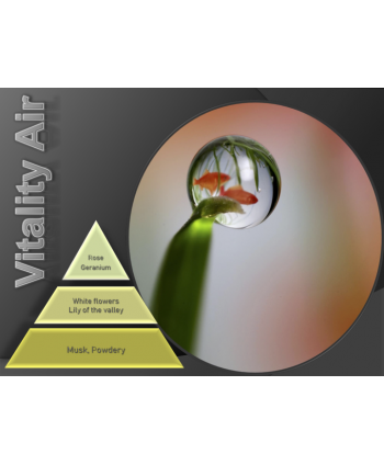 Vitality Air – Ulei Esențial Odorizant de Cameră Premium, 50 ml | Aromă Florală, Curată și Revigorantă