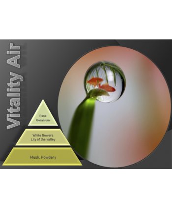 Vitality Air – Ulei Esențial Odorizant de Cameră Premium, 500 ml | Aromă Florală, Curată și Revigorantă