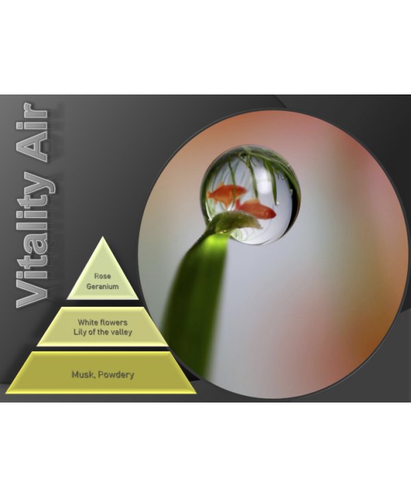 Vitality Air – Ulei Esențial Odorizant de Cameră Premium, 500 ml | Aromă Florală, Curată și Revigorantă