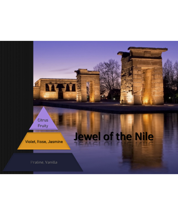 Jewel of the Nile – Ulei Esențial Odorizant de Cameră Premium, 500 ml | Aromă Exotică, Luxury și Memorabilă Jewel of the Nile – Ulei Esențial Odorizant de Cameră Premium, 500 ml | Aromă Exotică, Luxury și Memorabilă