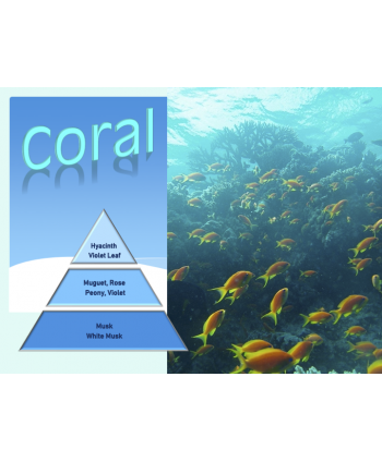 Coral – Ulei Esențial Odorizant de Cameră Premium, 50 ml | Aromă Marină, Exotică și Luminoasă