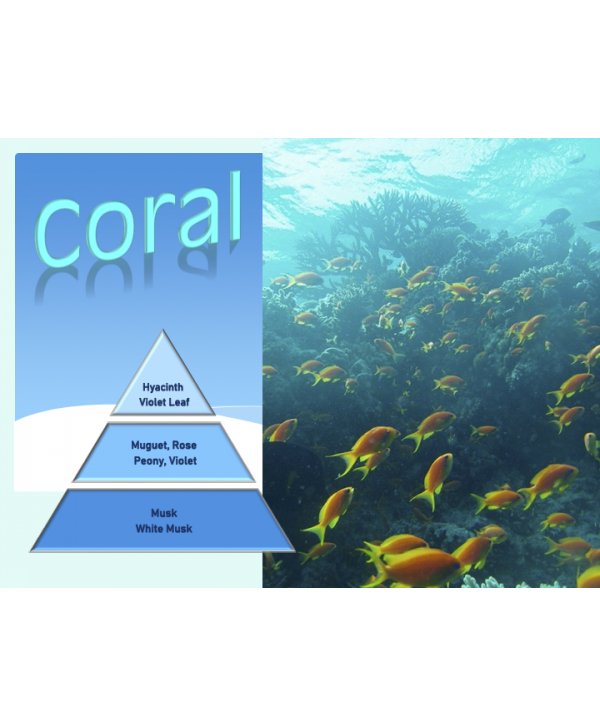 Coral – Ulei Esențial Odorizant de Cameră Premium, 50 ml | Aromă Marină, Exotică și Luminoasă Coral – Ulei Esențial Odorizant de Cameră Premium, 50 ml | Aromă Marină, Exotică și Luminoasă