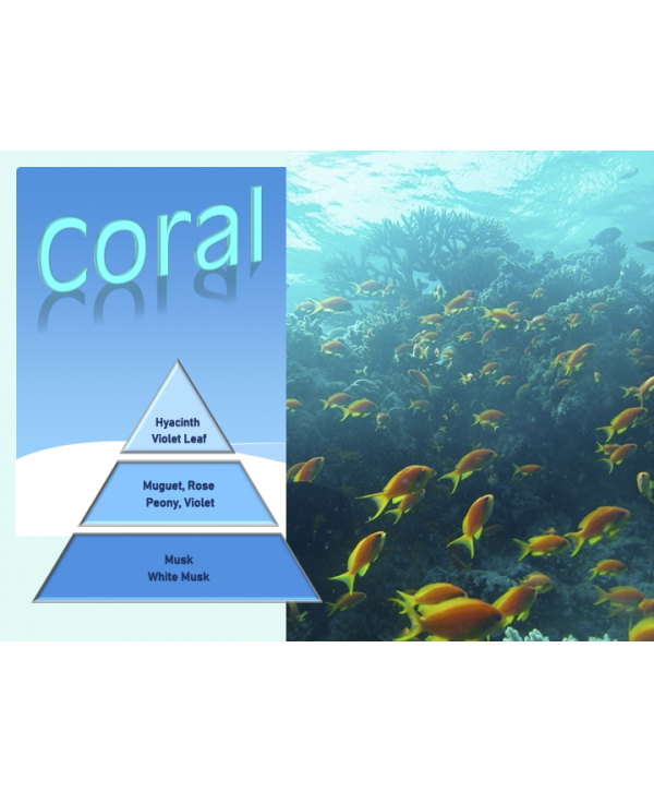 Coral – Ulei Esențial Odorizant de Cameră Premium, 500 ml | Aromă Marină, Exotică și Luminoasă Coral – Ulei Esențial Odorizant de Cameră Premium, 500 ml | Aromă Marină, Exotică și Luminoasă