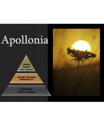Apollonia – Ulei Esențial Odorizant de Cameră Premium, 500 ml | Aromă Florală, Lemnoasă și Elegantă