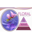 Uleiuri esentiale pentru difuzor - Floral 🌸 Ulei esential odorizant pt difuzor, calitate premium, persistenta minima 6 ore, gama Aromatherapy, 500 ml - arli.ro