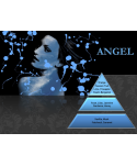 Uleiuri esentiale pentru difuzor - Angel - Ulei esential odorizant pt difuzor, calitate premium, persistenta minima 6 ore, gama Luxury, 500 ml - arli.ro