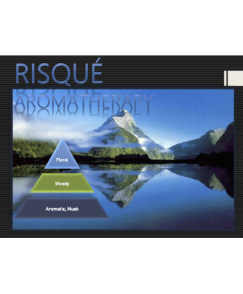 Risque Aromatherapy ⛰ – Ulei Esențial Odorizant de Cameră Premium, 500 ml | Aromă Premium, Plăcută și Persistentă
