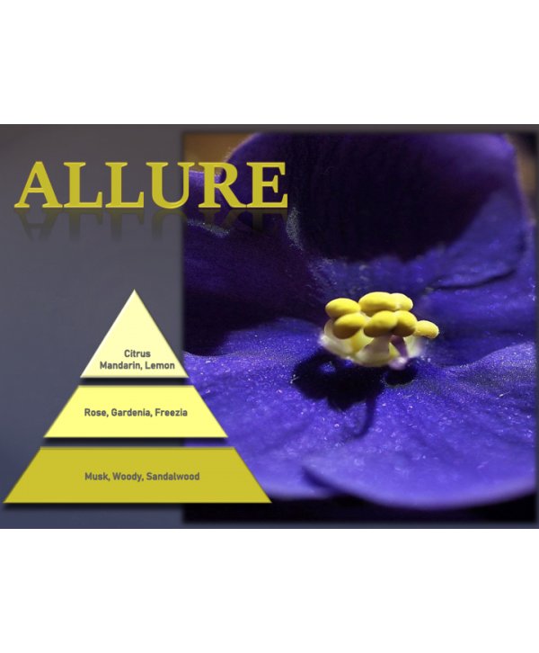 Allure – Ulei Esențial Odorizant de Cameră Premium, 500 ml | Aromă Elegantă, Senzuală și Rafinată