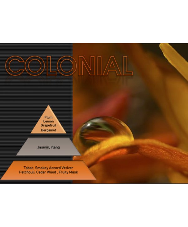 Colonial – Ulei Esențial Odorizant de Cameră Premium, 50 ml | Aromă Clasică, Elegantă și Distinsă Colonial – Ulei Esențial Odorizant de Cameră Premium, 50 ml | Aromă Clasică, Elegantă și Distinsă
