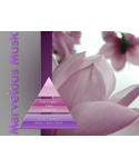 Uleiuri esentiale pentru difuzor - Marvelous Musk - Ulei esential odorizant pt difuzor, calitate premium, persistenta minima 6 ore, gama Aromatherapy, 50 ml - arli.ro