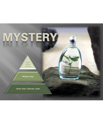 Mystery – Ulei Esențial Odorizant de Cameră Premium, 50 ml | Aromă Misterioasă, Elegantă și Profundă