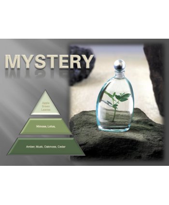 Mystery – Ulei Esențial Odorizant de Cameră Premium, 500 ml | Aromă Misterioasă, Elegantă și Profundă