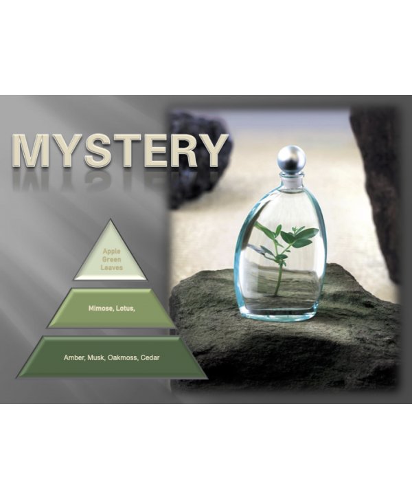 Mystery – Ulei Esențial Odorizant de Cameră Premium, 500 ml | Aromă Misterioasă, Elegantă și Profundă