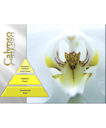 Calypso – Ulei Esențial Odorizant de Cameră Premium, 50 ml | Aromă Fresh, Marină și Aerisită
