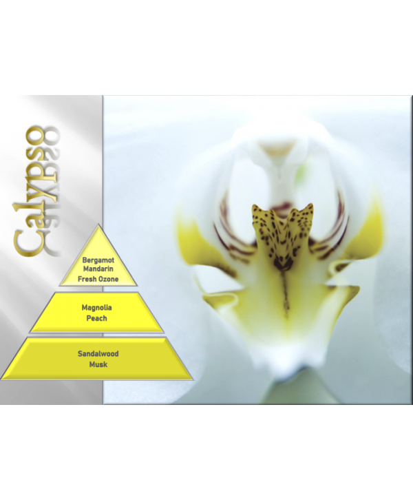 Calypso – Ulei Esențial Odorizant de Cameră Premium, 50 ml | Aromă Fresh, Marină și Aerisită Calypso – Ulei Esențial Odorizant de Cameră Premium, 50 ml | Aromă Fresh, Marină și Aerisită