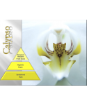 Uleiuri esentiale pentru difuzor - Calypso 🌬️ Ulei esential odorizant pt difuzor, calitate premium, persistenta minima 6 ore, gama Aromatherapy, 500 ml - arli.ro