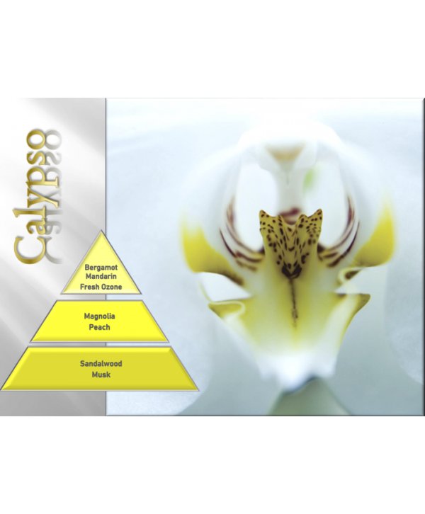 Calypso – Ulei Esențial Odorizant de Cameră Premium, 500 ml | Aromă Fresh, Marină și Aerisită