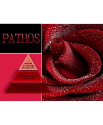 Pathos – Ulei Esențial Odorizant de Cameră Premium, 50 ml | Aromă Florală, Luxury și Memorabilă