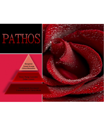 Pathos – Ulei Esențial Odorizant de Cameră Premium, 500 ml | Aromă Florală, Luxury și Memorabilă