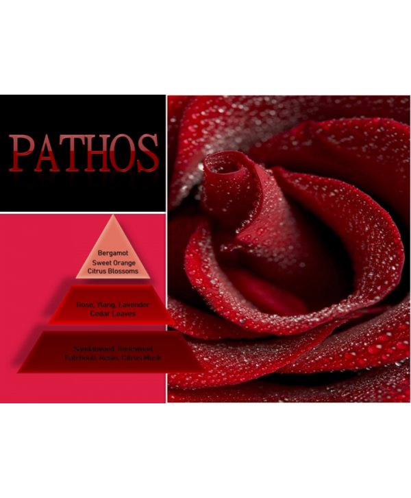 Pathos – Ulei Esențial Odorizant de Cameră Premium, 500 ml | Aromă Florală, Luxury și Memorabilă