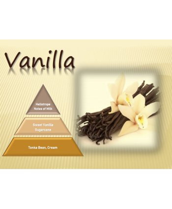 Vanilla – Ulei Esențial Odorizant de Cameră Premium, 500 ml | Aromă Dulce, Catifelată și Caldă